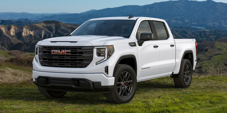 Side Three-Quarters View of a GMC Sierra 1500 Pickup Truck Parked in a Green Valley with Mountains in the Background